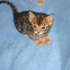 030216_sans titre_036-9